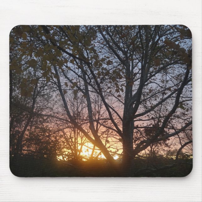 Sycamore Sunrise Mouse Pad (Front)
