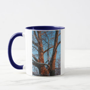 Sycamore Sunrise Mug