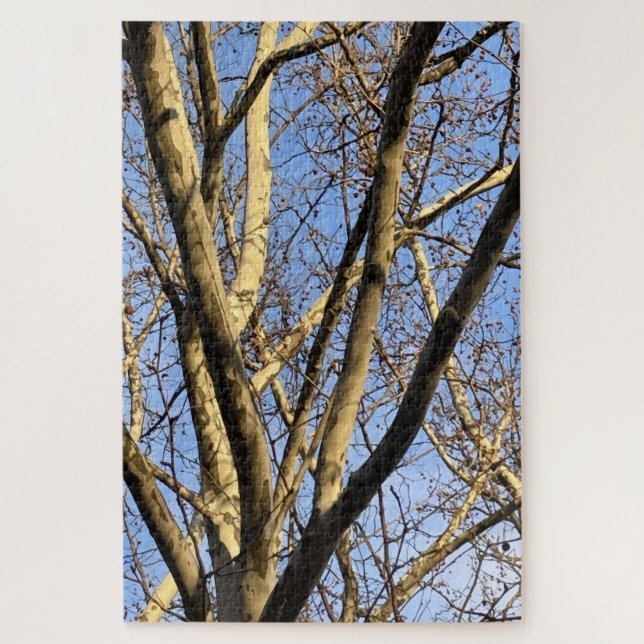 Sycamore Sunset Jigsaw Puzzle (Vertical)