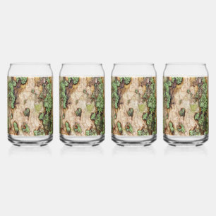 Sycamore Tree Bark Moss Lichen Can Glass