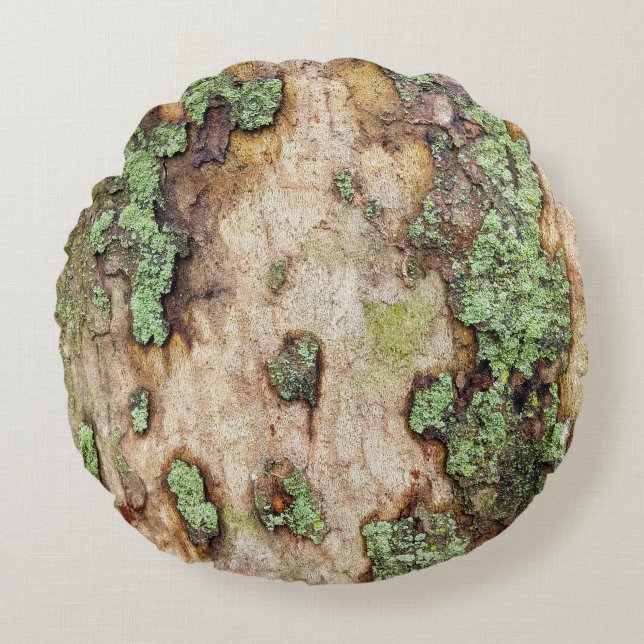Sycamore Tree Bark Moss Lichen Round Cushion (Front)