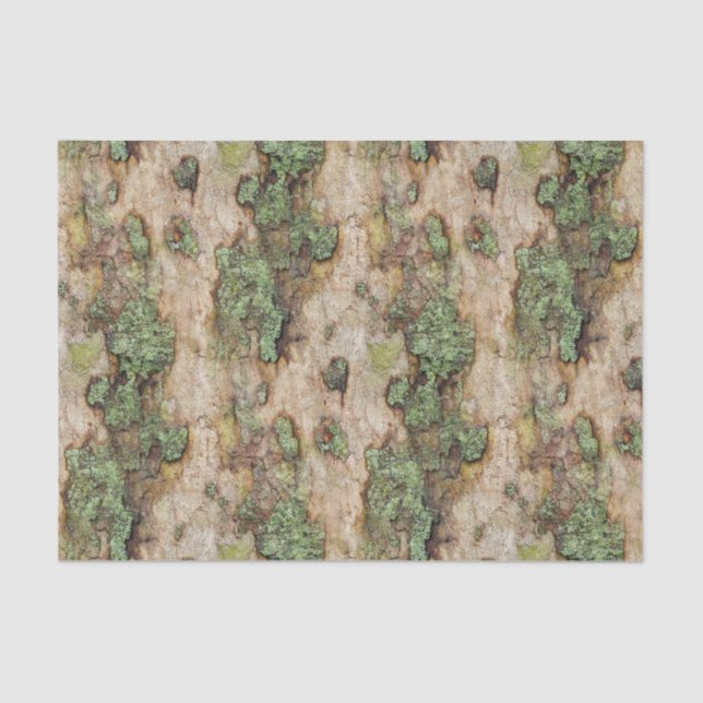 Sycamore Tree Bark Moss Lichen Tissue Paper (Front)