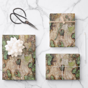 Sycamore Tree Bark Moss Lichen Wrapping Paper Sheet