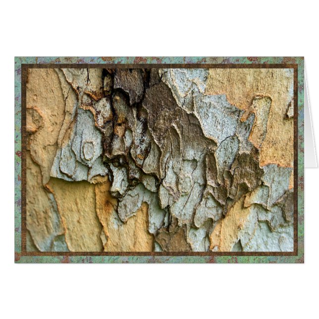 Sycamore tree bark photo (Front Horizontal)