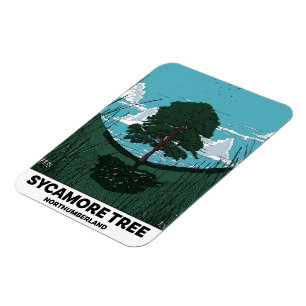 Sycamore Tree Gap Magnet