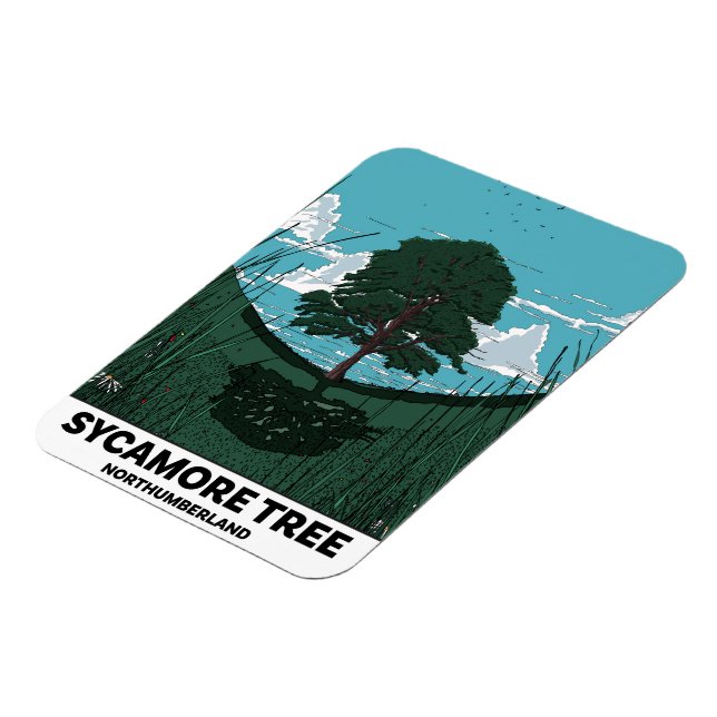 Sycamore Tree Gap Magnet (Left Side)