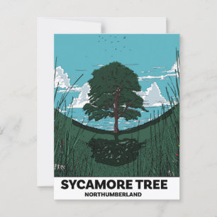 Sycamore Tree Gap Postcard