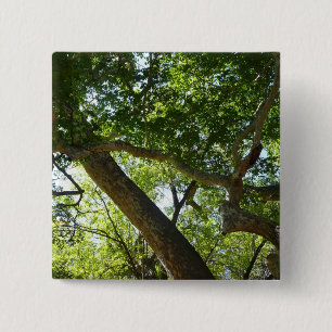 Sycamore Tree Green Nature 15 Cm Square Badge