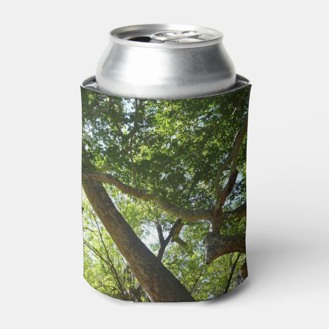 Sycamore Tree Green Nature Can Cooler (Can Front)