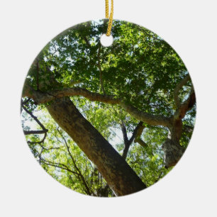 Sycamore Tree Green Nature Ceramic Tree Decoration