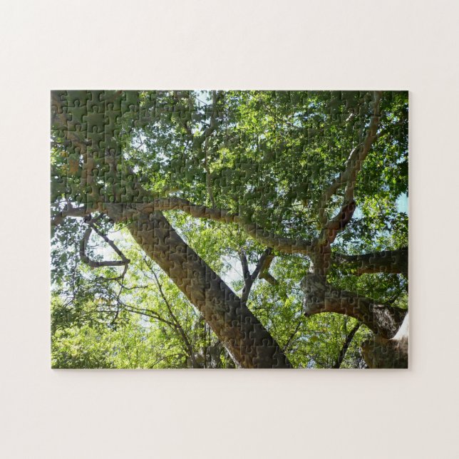 Sycamore Tree Green Nature Jigsaw Puzzle (Horizontal)
