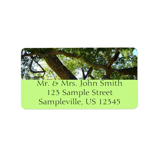 Sycamore Tree Green Nature Label (Front)