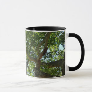 Sycamore Tree Green Nature Mug