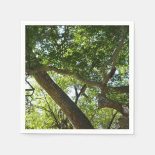 Sycamore Tree Green Nature Napkin