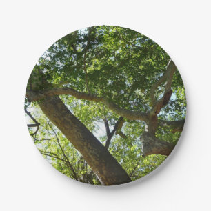 Sycamore Tree Green Nature Paper Plate