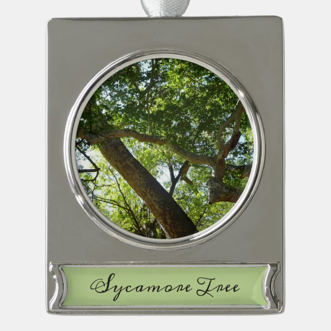 Sycamore Tree Green Nature Silver Plated Banner Ornament (Front)