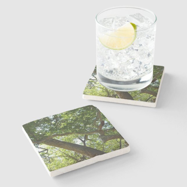 Sycamore Tree Green Nature Stone Coaster (Side)
