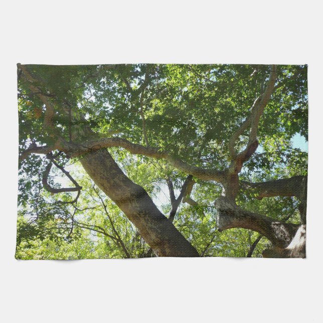 Sycamore Tree Green Nature Tea Towel (Horizontal)