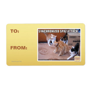 Sychronized Spaz Attack