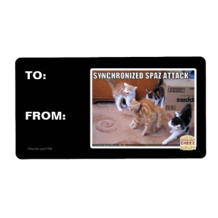 Sychronized Spaz Attack