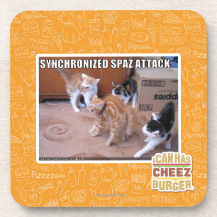 Sychronized Spaz Attack Coaster