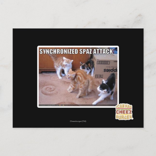 Sychronized Spaz Attack Postcard (Front)