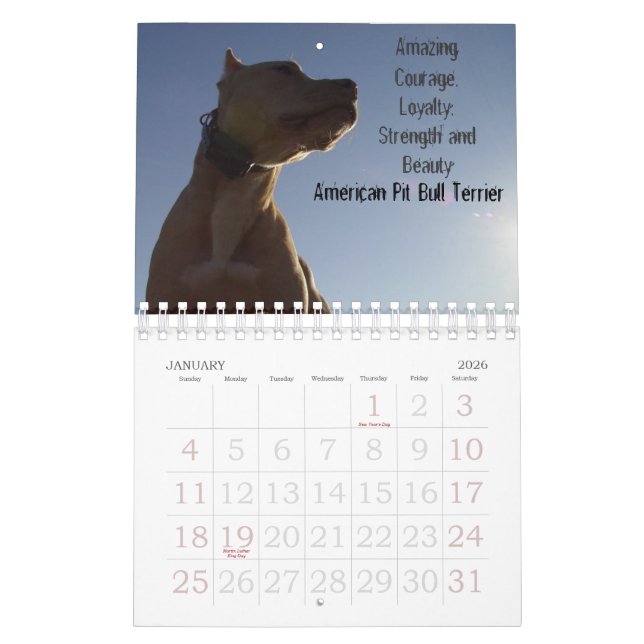 Sydney and Ziggi 2009 Calendar (Jan 2026)