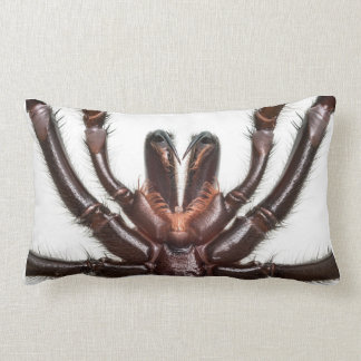Sydney Funnel-Web Spider Lumbar Cushion