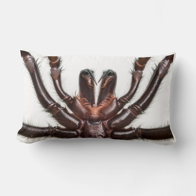 Sydney Funnel-Web Spider Lumbar Cushion (Front)