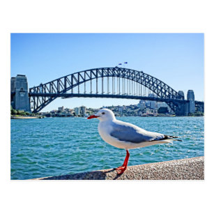 Sydney Harbor Bridge - Sydney, Australia Postcard