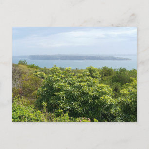 sydney harbour lookout from manly holiday postcard