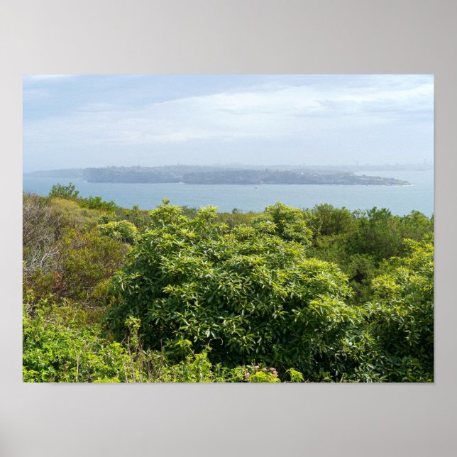 sydney harbour lookout from manly poster (Front)