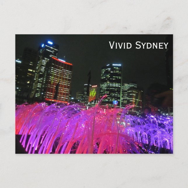 sydney vivid pink postcard (Front)