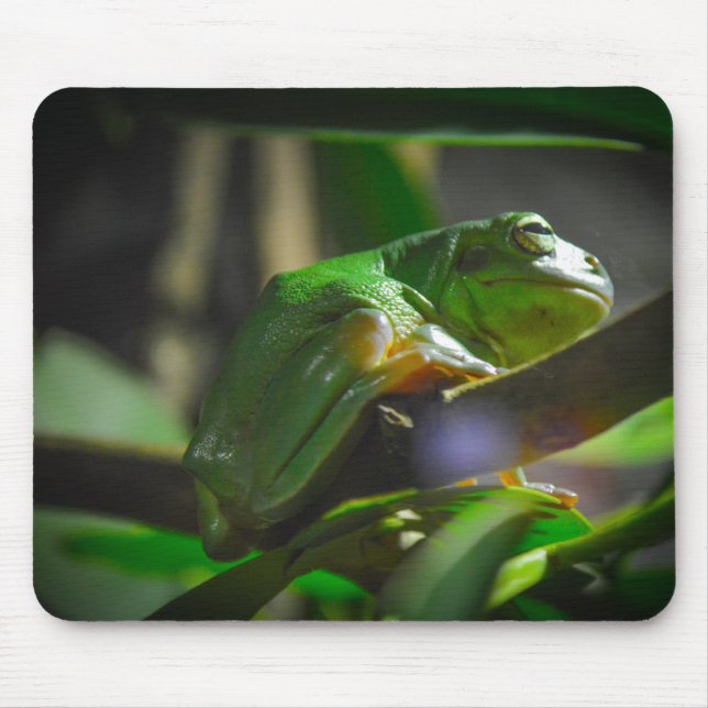 Sydney Zoo - Green Tree Frog Mouse Pad (Front)