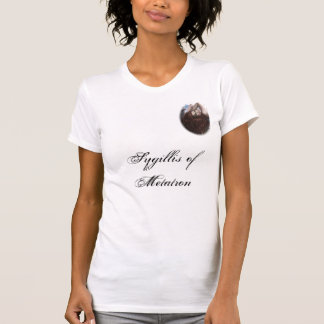 Syg2, Sygillis of Metatron ladies scoop T-Shirt
