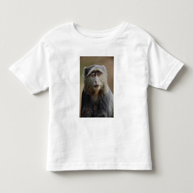 Sykes or Blue Monkey, Cercopithecus mitis, Toddler T-Shirt (Front)