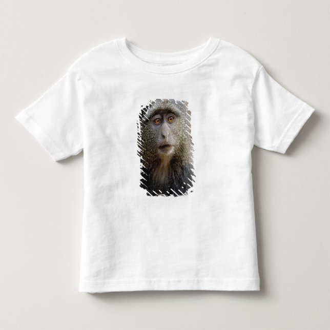 Sykes or Blue Monkey, Cercopithecus mitis, Toddler T-Shirt (Front)