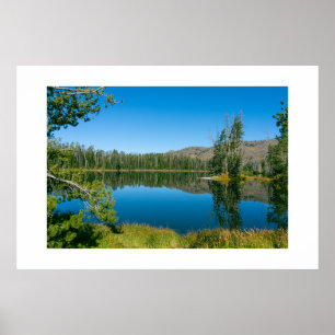 Sylvan Lake Reflection Yellowstone National Park Poster