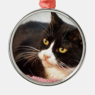 Sylvester Metal Ornament