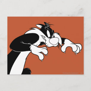 SYLVESTER™ Prowling Postcard