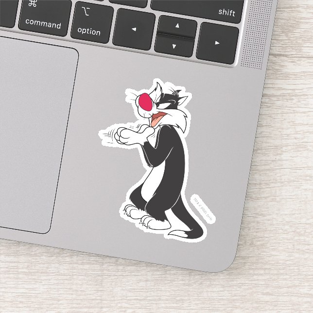 SYLVESTER™ Rubbing Paws (Detail)