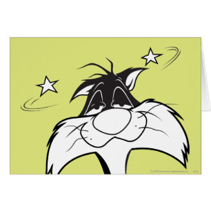 SYLVESTER™ Sore Head