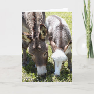 Sylvia & Mr. T Card