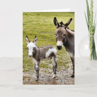 Sylvia & Mr. T Card