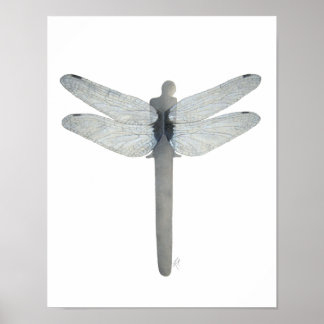 Symbiosis Dragonfly Poster