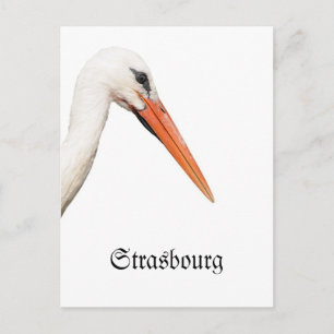Symbol Of Strasbourg, Alsace Postcard