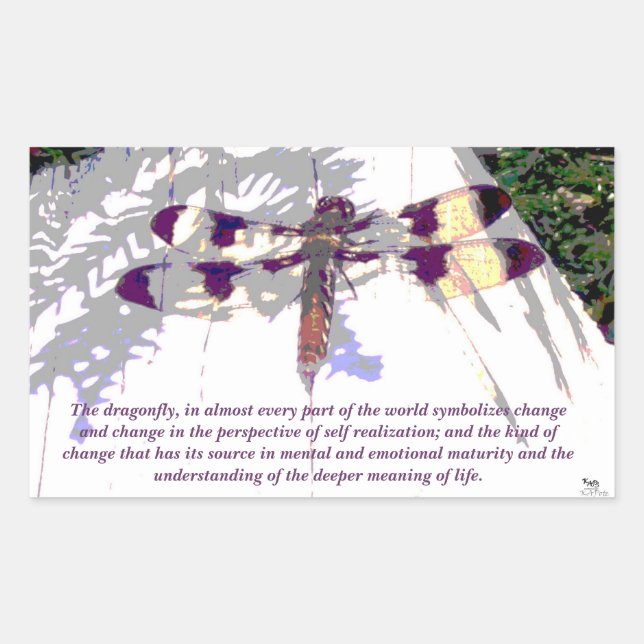 Symbolic Dragonfly Rectangular Sticker (Front)