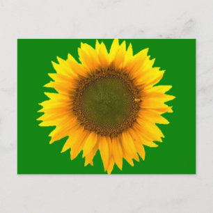 Symbolism of Light Post Card