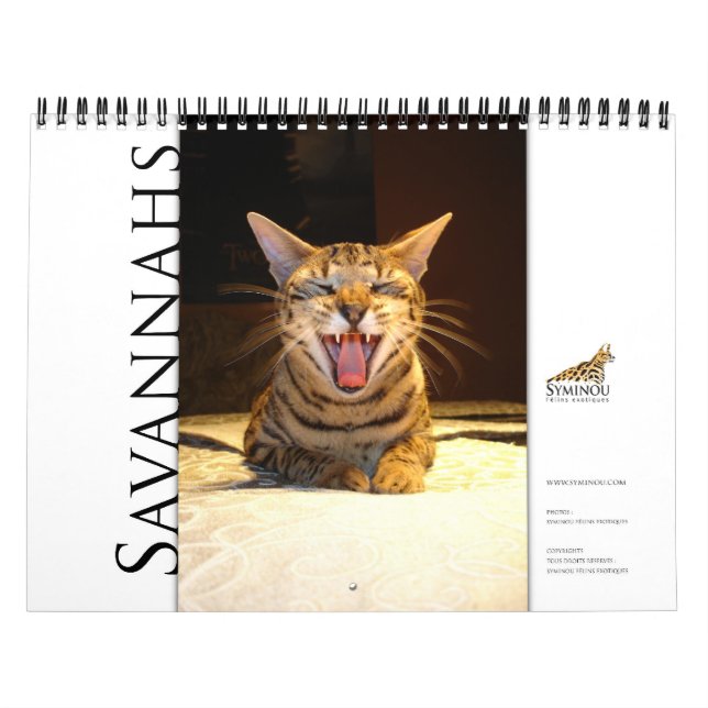 Syminou calendar 2018 Savannah Cat (Cover)