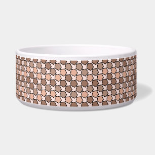 Symmetric Brown Pentagons with Dashed Borders